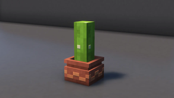 Potted Cactus