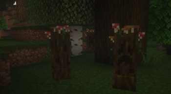Dark Oak