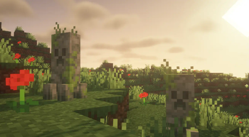 Hills