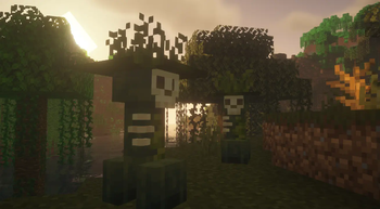 Swamp
