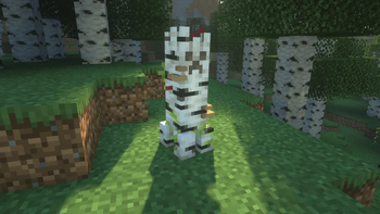 Birch