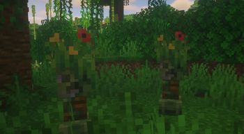 Jungle