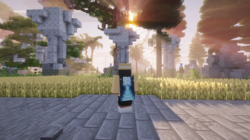 Cape Changes