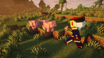 Banner Image