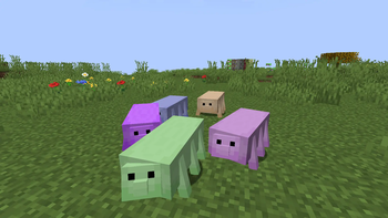tardigrades
