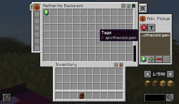 ApothSB Gem Tag In Backpack