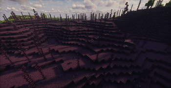Defiled Plains