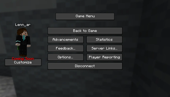 Ingame Menu