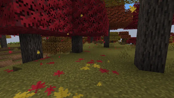 Maple Forest