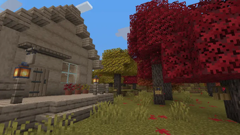 Maple Cabin