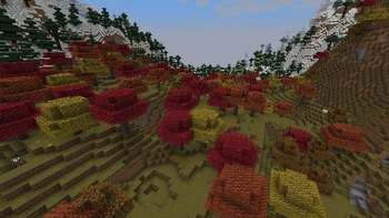 Distant view of the biome