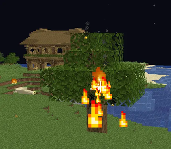 Fire