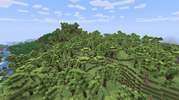 Eucalyptus Forest Biome