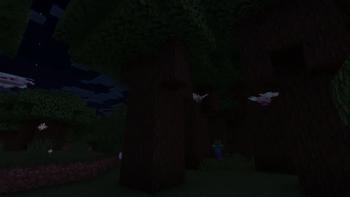 Luna moth habitat