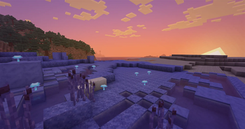 Somber Shore Biome