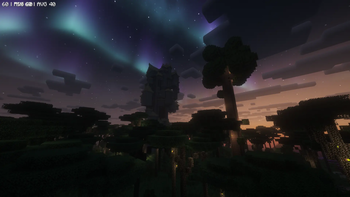 Forest in Twilight Serene