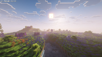 Overworld Beauty
