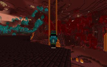 The Nether