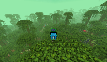 Jungle