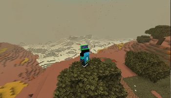 Desert