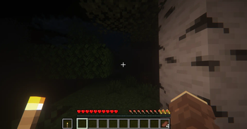 With Torch