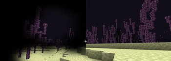 1.0-release Gallery