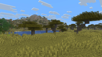 Savanna Mountain