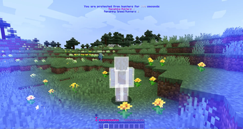Speed Runner Respawn Protection Shield