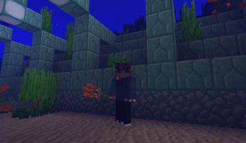 Third person view 1