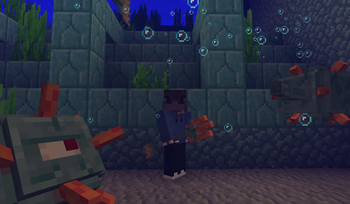 Third person view  2