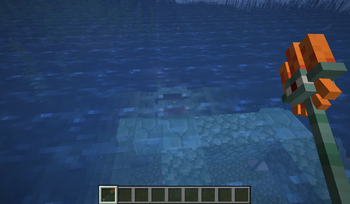 First person view
