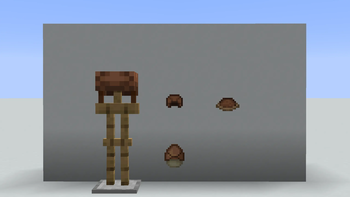 Brown Turtles