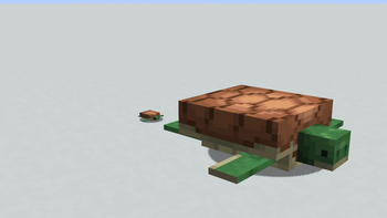 Brown Turtles