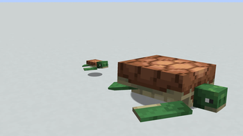 Brown Turtles