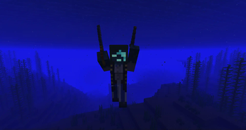 Sunken Pirate