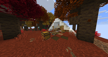 Abandoned Camp