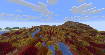 Bird's Eye View of a Dappled Forest