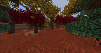 Dappled Forest