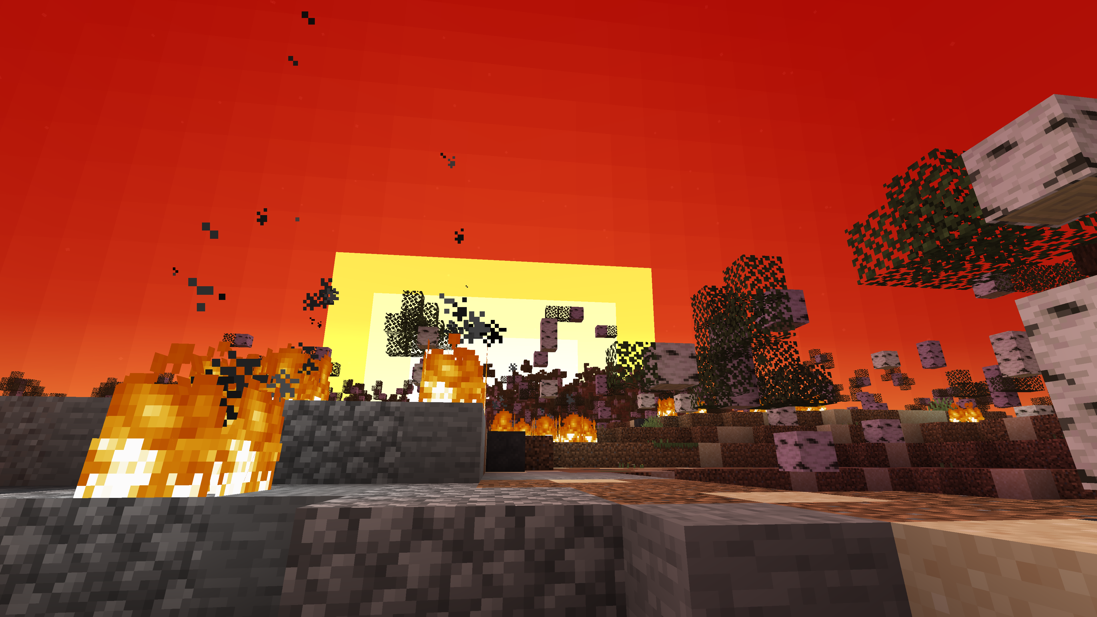 The sun is incinerating a forest.