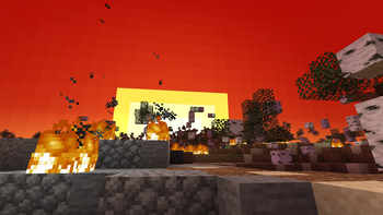 The World Burning
