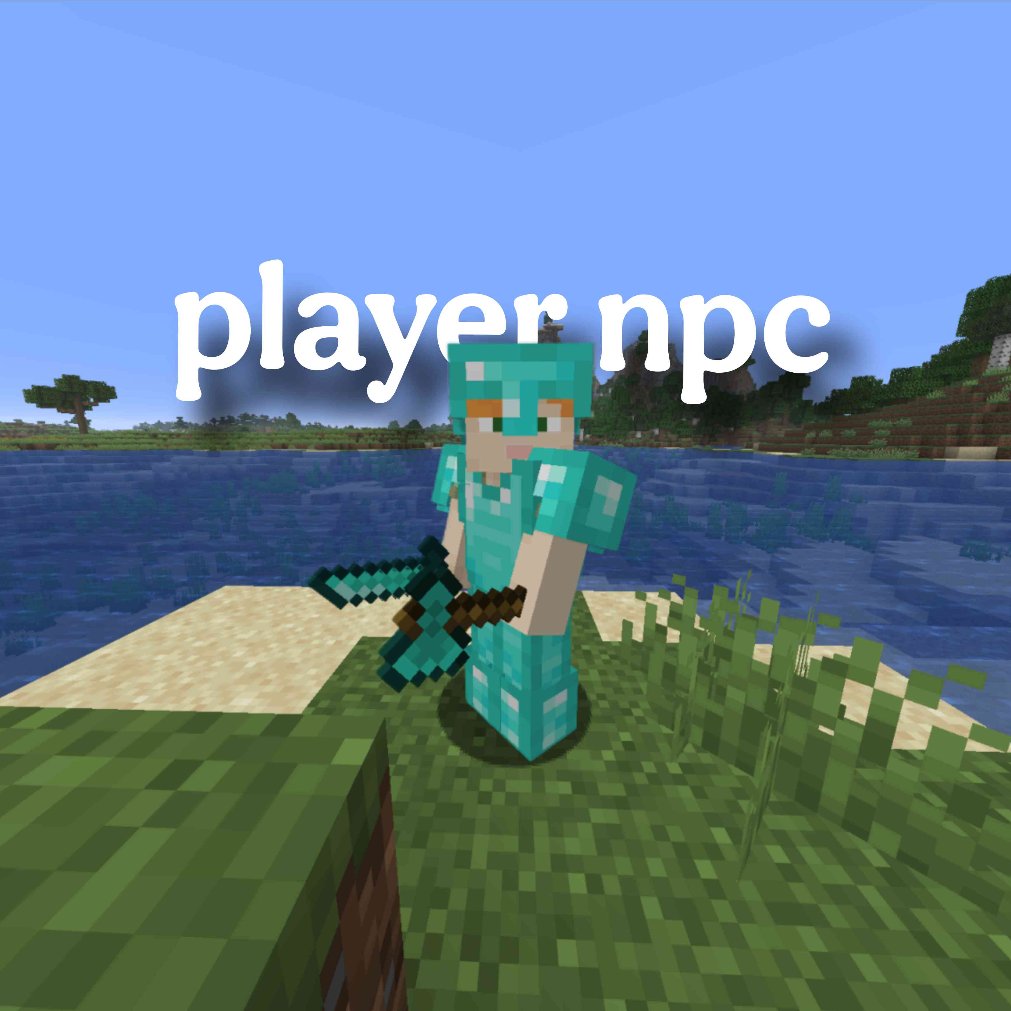 playernpc