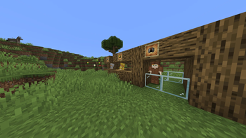 playernpc
