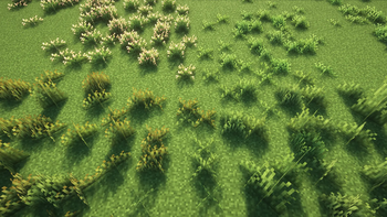 Grass variants