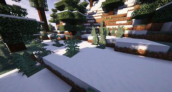 Fern in Snow