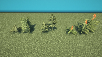 Fern variants