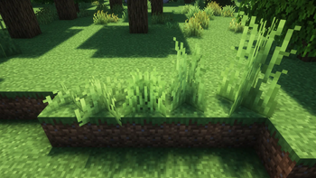 Grass height variants