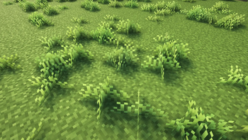 Blue grass