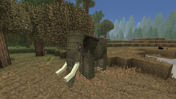 Elephant