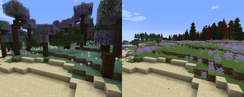 Lavender Forest replaced by Lavender Plains