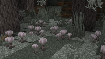 pale garden